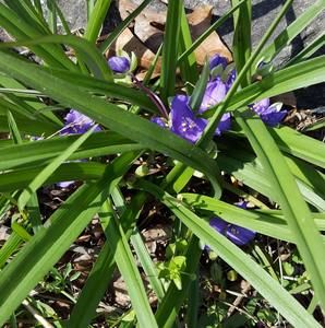 Meet your Posher, Ann